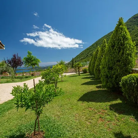 Ventalia نِكيانا